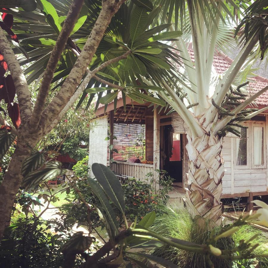 Harry'S Ocean House Pacitan Exterior foto